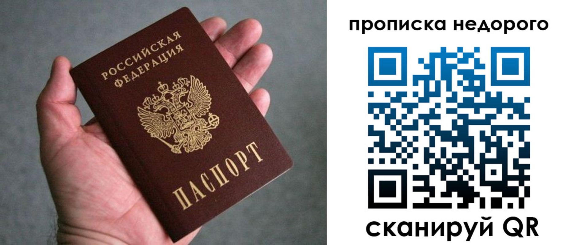 прописка поиск в Чайковском